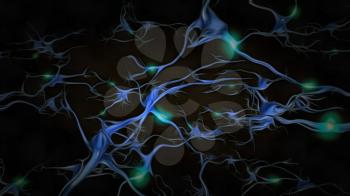 Neurons in mind