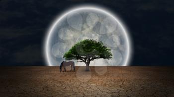 Surrealism. Horse grazes near green tree in arid land. Full moon at the horizon.