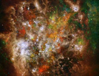 Vivid Universe. Stars and nebulae