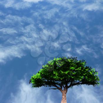 Green tree. Cloudy blue sky background