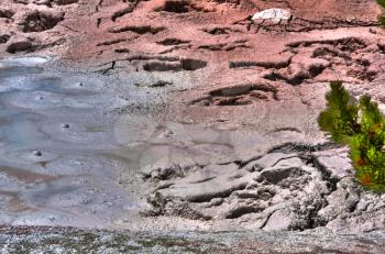 Closeup of a mud hot spring. 