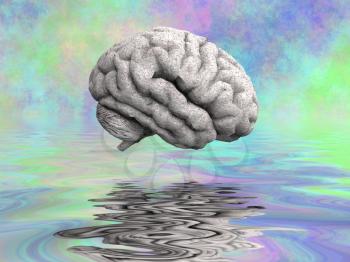 Mysteries of the human brain. 3D rendering