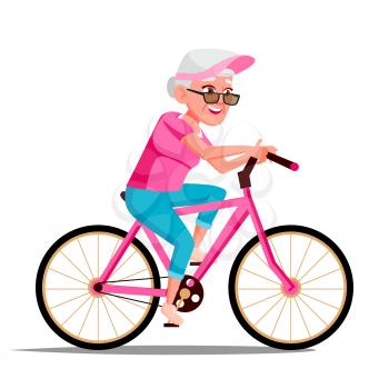 Old Woman Riding On Bicycle Vector. Healthy Lifestyle. Bikes. Outdoor Sport Activity. Illustration