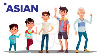 Asiatic Generation Male Set People Person Vector. Asian Grandfather, Father, Son, Grandson, Baby Vector. Vector. Isolated Illustration
