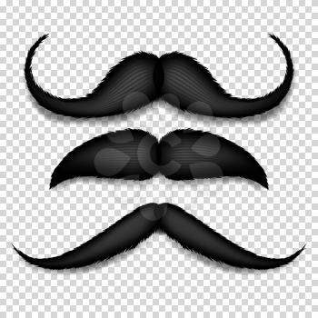 Hair Mustaches Set Vector. Barber Shop. Funny Curly Black Mustache. Isolated On White Illustration