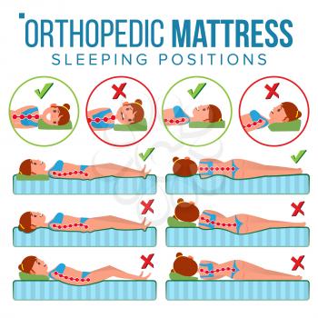 Orthopedic Mattress Vector. Curvature Of Human Spine. Sleeping Position. Spine Support. Health Body. Pillow. Comfortable Bed. Various Mattresses. Correct Spine. Isolated Illustration