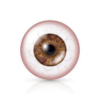 Conjunctivitis. Red Eye. Human Eyeball With Conjunctivitis Vector