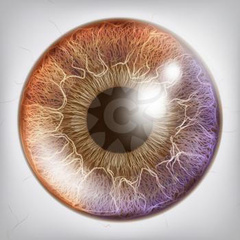 Eye Iris Vector. Vision Medical Concept Illustration
