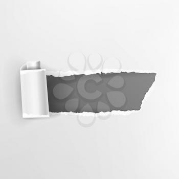 Torn Paper With Curls Vector. Realistic Paper Hole.