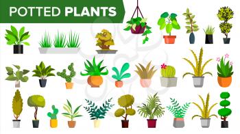 Potted Plants Set Vector. Green Color Plants In Pot. Indoor Home, Office Modern Houseplants. Various. Floral Interior. Decoration Design Element. Isolated Illustration