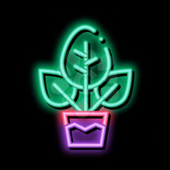 Plant In Pot neon light sign vector. Glowing bright icon Plant In Pot sign. transparent symbol illustration