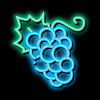 Grape Berries neon light sign vector. Glowing bright icon Grape Berries sign. transparent symbol illustration