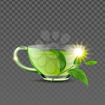 Green Tea Cup And Natural Branch Leaves Vector. Brewed Tasty Beverage Glass Mug Bio Herb Plant Ingredient For Preparing Traditional Drink. Aromatic Breakfast Liquid Template Realistic 3d Illustration