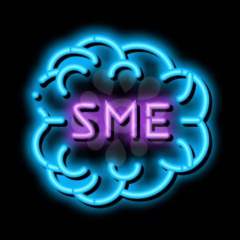 Human Brain Sme Business neon light sign vector. Glowing bright icon Sme Direction Of Thinking, Mind Anatomy Organ sign. transparent symbol illustration