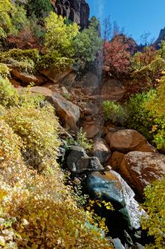 Colourful Autumn Foliage and Waterfall in Zion