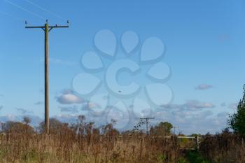Telgraph poles receding into the distance in Lindfield