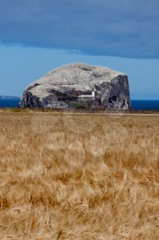 View of Bass Rock in Firth of Forth