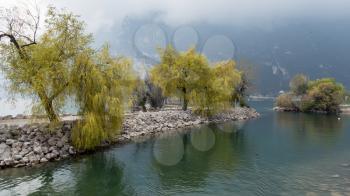 Willow Trees on the Shore at Riva del Garda