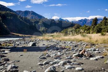 Countless rocks strewn along the Okarito River in New Zealand