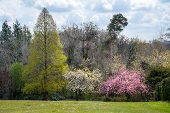 Scenic view of a park gardens in East Grinstead with different trees flowering on a sunny spring day