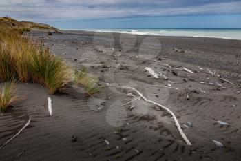 Debris and driftwood on Rarangi Beach in New Zealand
