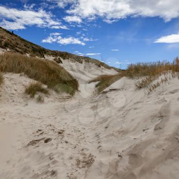 Sand dunes at Sandfly Bay South Island New Zealand