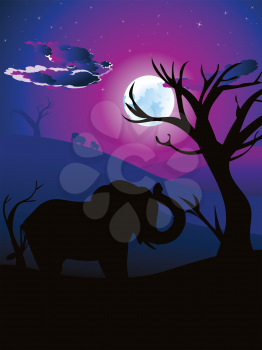Colorful night scene, african landscape with silhouette of trees and elephant.