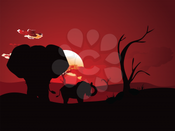 Colorful sunset scene, african landscape with silhouette of trees and elephant.