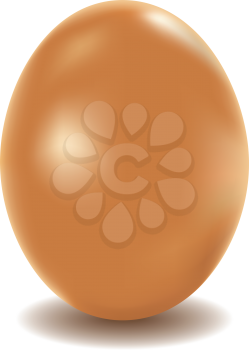 Large chicken egg of brown color on a white background.