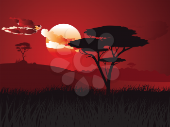 Colorful sunset scene, african landscape with silhouette of trees.