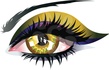 Female eye of yellow color with long lashes and eyeshadow.