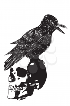 Black and white human skull with crow grunge illustration.