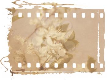 Vintage Plum Blossom grunge background. Texture and color processing.