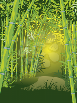 Illustration of bamboo trees, asian forest landscape background.