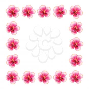 Floral frame made from pink hibiscus flowers on white background.