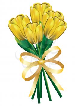 Beautiful bouquet of tulip flowers with bow on white background.