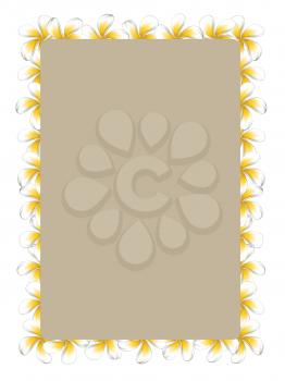 Floral frame made from white plumeria, frangipani flowers.