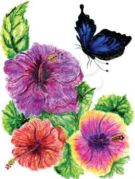 Watercolor painting of hibiscus flower, hand drawn illustration.