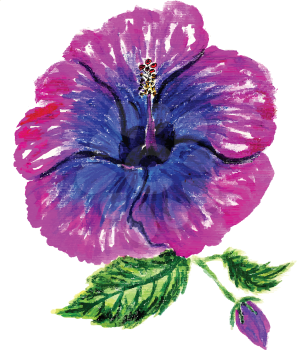 Watercolor painting of hibiscus flower, hand drawn illustration.