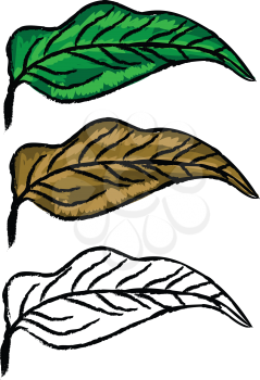 Three hand drawn leaves green, yellow and in black and white color.