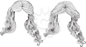 Illustration of black and white style curly hair.