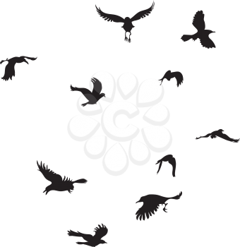 Stylized silhouette of a black raven, crow on white background.