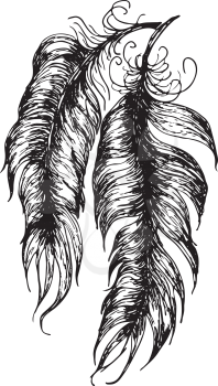 Stylized grunge feathers silhouettes illustration on white.