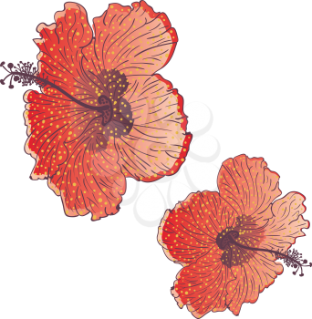 Stylized hibiscus flower design, grunge illustration over white.