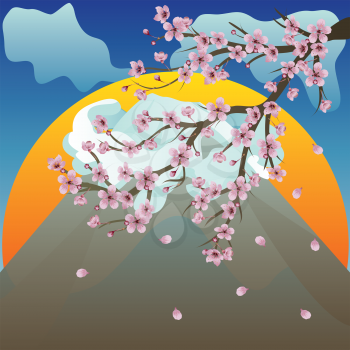 Bright background with volcano and sakura blossom.