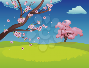 Spring background with green grass field and sakura in bloom.