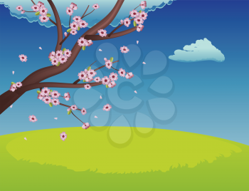 Spring background with green grass field and sakura in bloom.