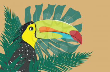 Cartoon keel-billed toucan bird with tropical leaves illustration.

