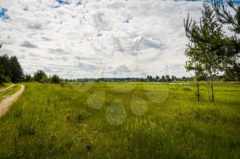 Rural landscape green grass field, natural background.