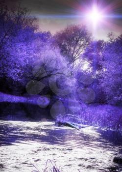 Abstract purple forest and a small river, a fantasy landscape. 